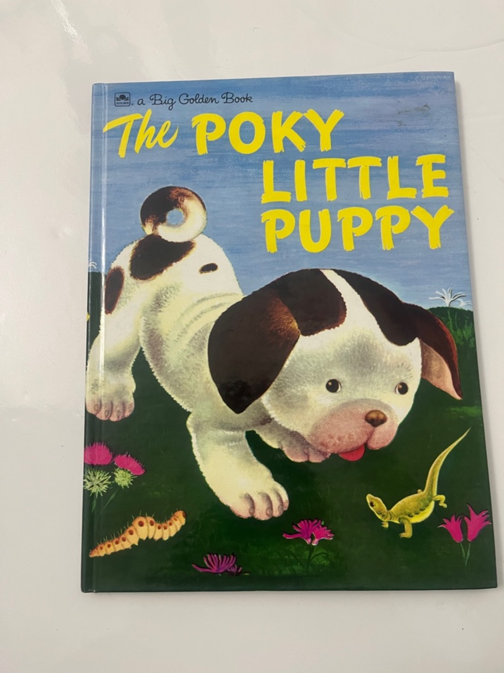 Vintage BIG golden book The Poky Little Puppy - Blue & Green Cover
